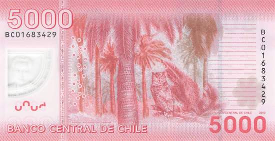 5000 Pesos 2013
